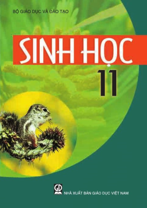 Bài 28: điện thế nghỉ