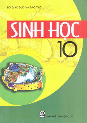 Bài 25. Sinh trưởng của vi sinh vật