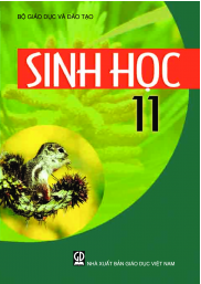 Sinh học 11 (NXB Giáo dục Việt Nam)